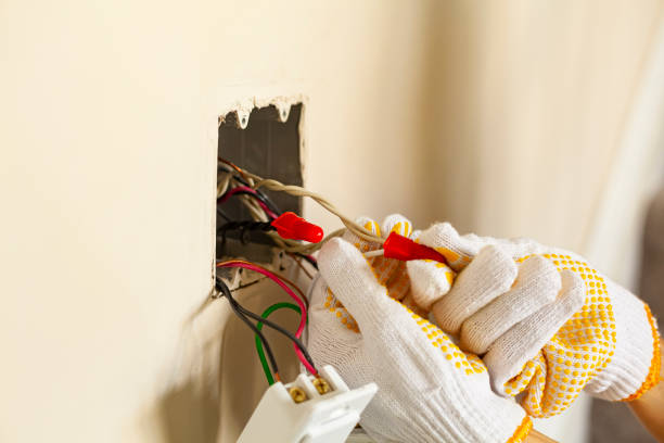 Best Electrical Panel Upgrades  in Pamplico, SC